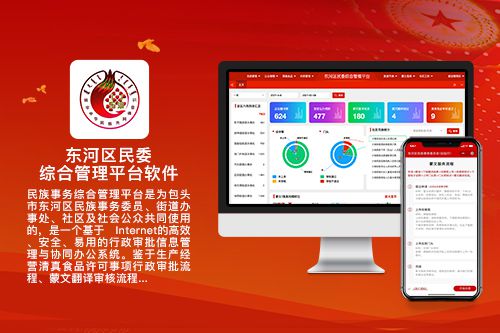 东河区民委综合管理平台软件